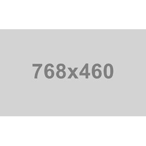 SEKK SKINN BRIDGE MEDIUM THE MONTE