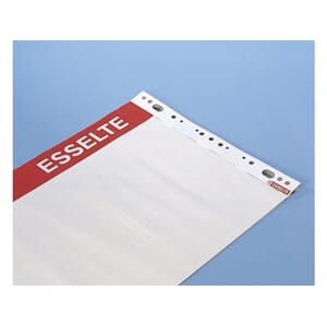 FLIPPOVERBLOKK ESSELTE M/RUTER 60X85CM