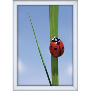 PLAKATRAMME SNAP 25MM A3 ALU