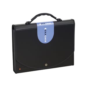 HJEMMEARKIV A4  EXACOMPTA 13-DELT SORT