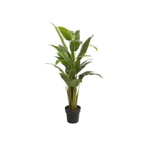 KUNSTIG PLANTE STRELITZIA 120CM