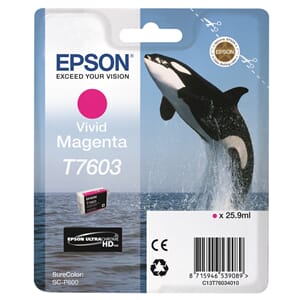 BLEKK EPSON C13T76034010 MAGENTA