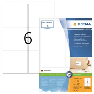 ETIKETT HERMA A4 99,1x93,1 MM (600)