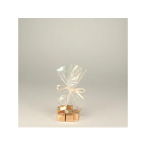 CELLOFANPOSE 9,5x4x16CM (10)